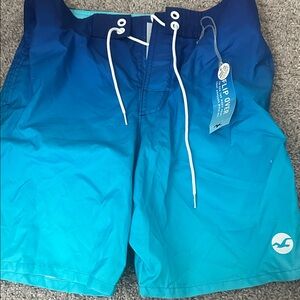 Hollister Men's Ombre Blue Swim Shorts
